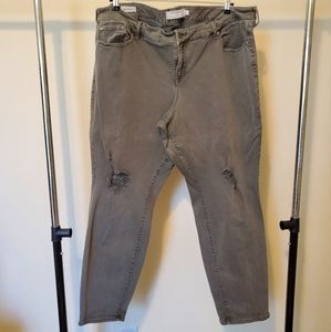 Torrid Distressed Boyfriend Jeans Olive Size 26 Tall